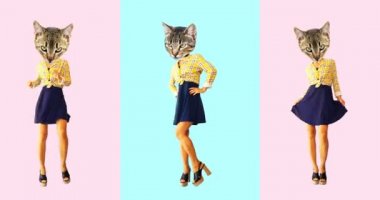 Minimum animasyon tasarımı. Klasik Kitty dansı.