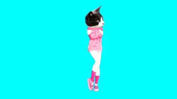 Gif animation art. Kitty casual hipster look — Stock Video