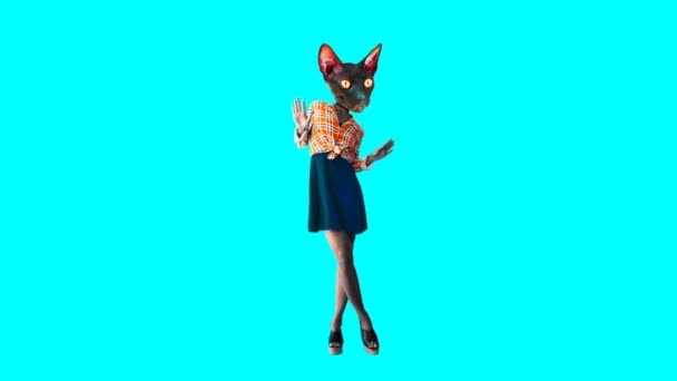 Animation minimal gif art. Lady vintage Cat — Stock Video