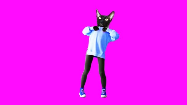 Gif animation art. Fashion Kitty dancing Cat power concept — Stock Video