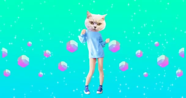 Gif animation konst. Dansar Kitty i kristall. Klubbrörelsens utformning — Stockvideo
