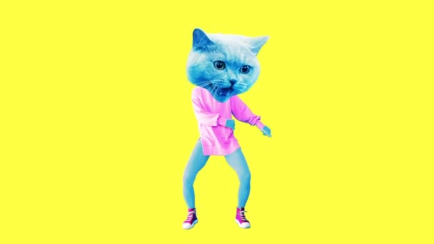Gif animation art. Funny dancing Cat — Stock Video