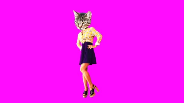 Sztuka animacji Gif. Kitty retro country wygląd — Wideo stockowe