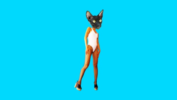 Gif animation art. Fashion Sexy Kitty dancing Night club style — Stock Video