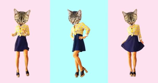 Minimalny projekt animacji. Vintage Kitty taniec — Wideo stockowe