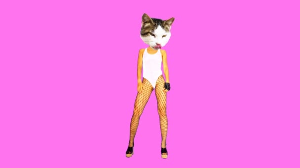 Minimalny projekt gif. sexy kotek liże — Wideo stockowe