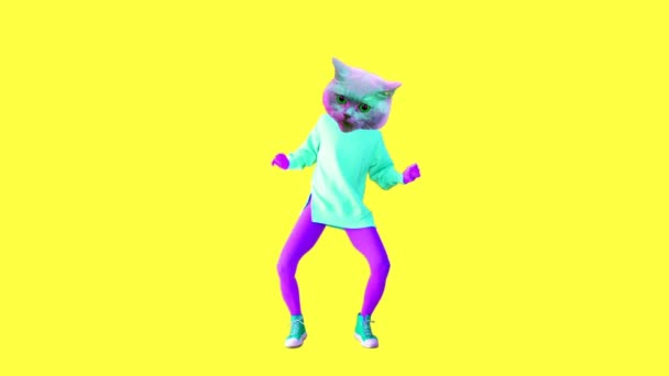 Animation minimal gif art. Dancing hipster cat — Stock Video