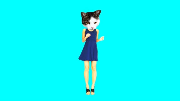 Gif animatie kunst. Fashion Kitty casual stijl — Stockvideo