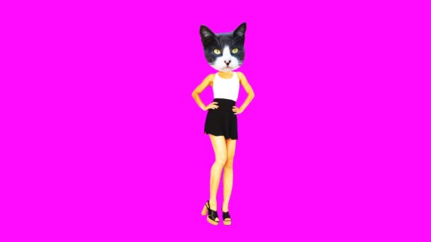 Gif animation art. Lady Kitty casual style — Stock Video