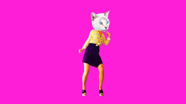 Gif animation art. Fashion Kitty dancing country style — Stock Video