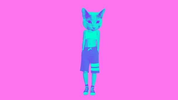 Animación gif art. Moda Gato calle estilo urbano — Vídeos de Stock