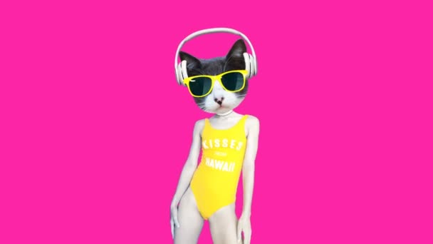 Hareket minimumu gif tasarımı. Güzel dans eden DJ kedicik. Plaj partisi titreşimleri — Stok video