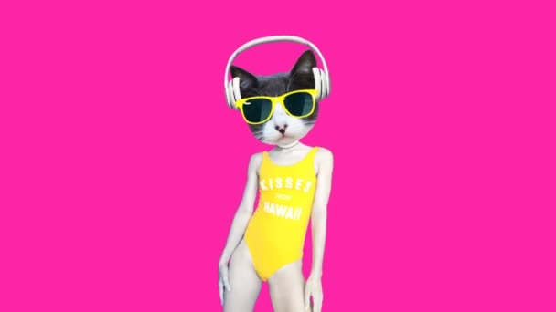 Rörelse minimal gif design. Fin dansande Dj Kitty. Strandfestliga vibbar — Stockvideo