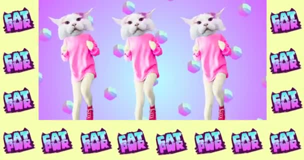 最小限のアニメーションアート。ファッション猫のGIF 。猫のパワーコンセプト — ストック動画