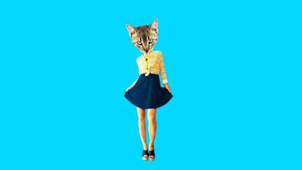 Gif animatie kunst. Lady Kitty Retro country stijl. — Stockvideo