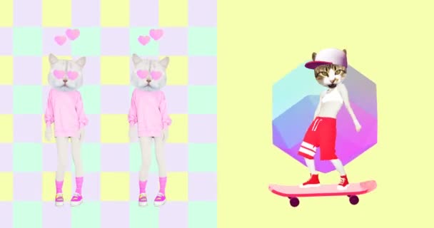 Minimal animation design. Funny Cats in love — Stock Video