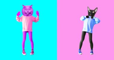 Animasyon minimum gif sanatı. Bir grup komik kedi.