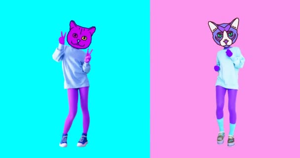 Animacja minimalna sztuka gif. Zestaw zabawnych kotów — Wideo stockowe