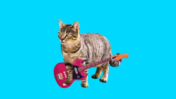 Animation minimale GIF-Kunst. Kitty spielt Gitarre