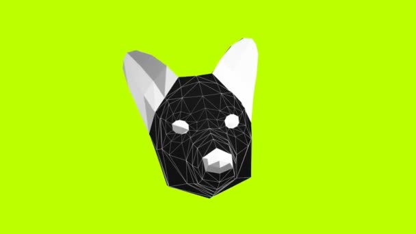 Minimal animation gif art. 3d coyote face — Stock Video