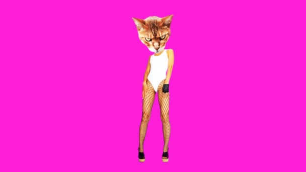 Animação mínima gif art. Sexy Kitty menina clubbing roupa — Vídeo de Stock