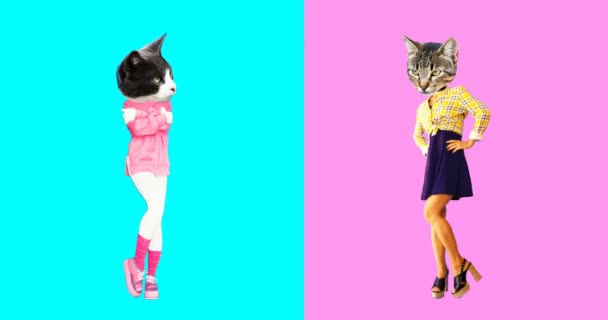 Animación mínima gif art. Conjunto de gatos divertidos — Vídeo de stock