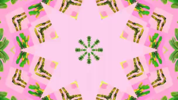 Motion creative art. Plants on pink Kaleidoscope. Fashion plant concept — Stock Video