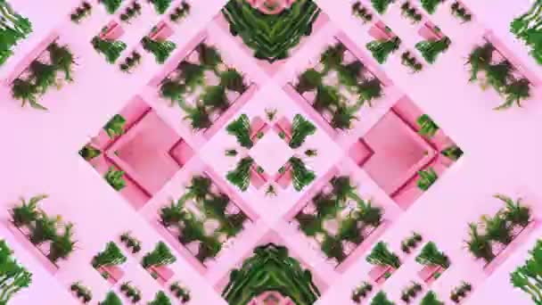 Animation creative art. Plants on pink Kaleidoscope. Fashion plant concept — Stock Video