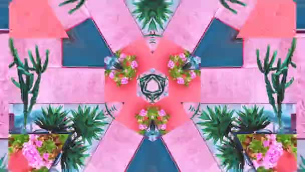 Motion creative art. Plants on pink Kaleidoscope. Fashion plant concept — Stock Video