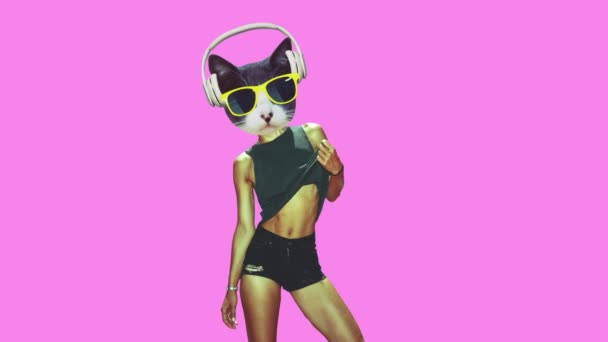 Gif Animationsdesign. Sexy Kitty Beach Mood — Stockvideo