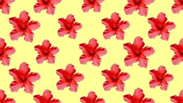 Minimální pohybový vzorec. Tropická lilie. Květ nálady — Stock video