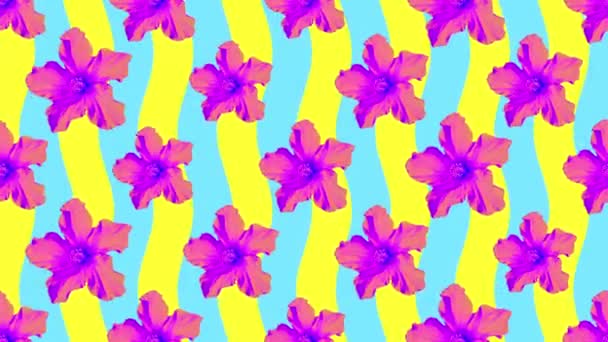 Patrón de animación vertical. Flores creativas de Lily. Ideal para pantallas publicitarias — Vídeos de Stock