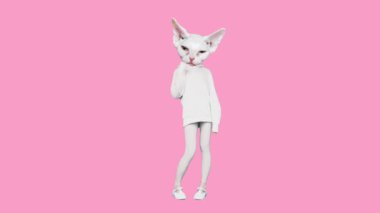 Gif animasyon tasarımı. Pembe arka planda dans eden kapüşonlu beyaz kedicik