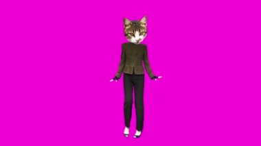 Gif animasyon tasarımı. Pembe arka planda Kitty ofis tarzı dans