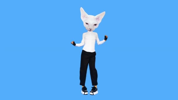 Gif animatie ontwerp. Witte mode Kitty dansen — Stockvideo