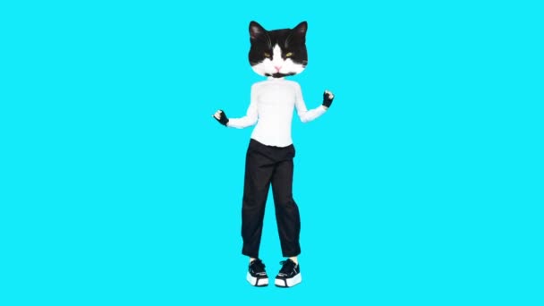 Gif animációs design. Kitty Office stílus tánc