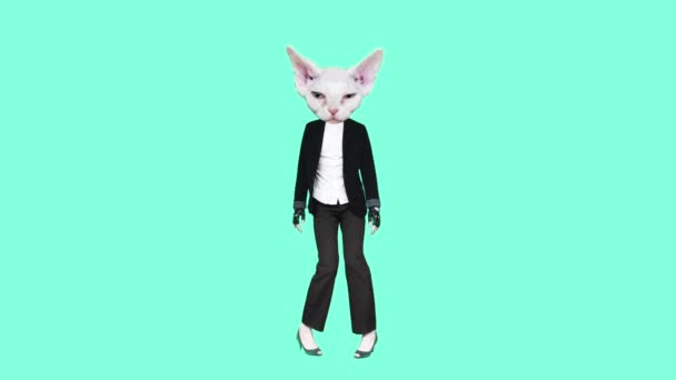 Gif Animationsdesign. White Kitty Bürostil tanzen auf blauem Hintergrund — Stockvideo