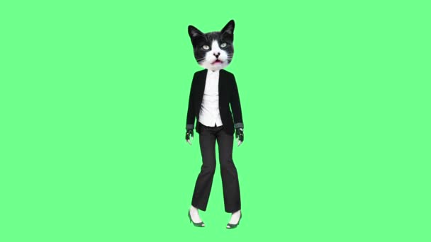 Gif animáció művészet Kitty Office stílus tánc kék háttér