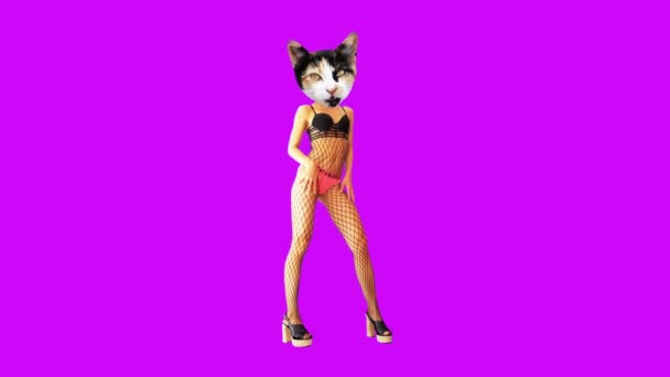Gif animasyon tasarımı. Pembe arka planda dans eden seksi kedicik — Stok video