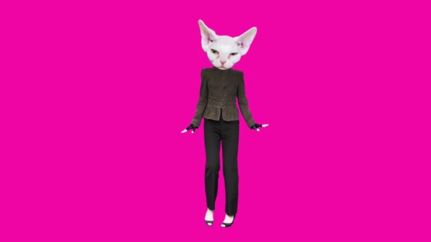 Гифский анимационный дизайн. Белый Китти офис винтажный стиль танцы на розовом фоне — стоковое видео