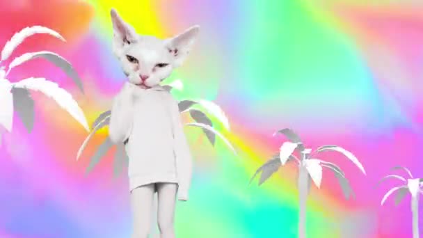 Gif sinema sanatı. Dans eden Beyaz Kedicik Sahili tarzı — Stok video