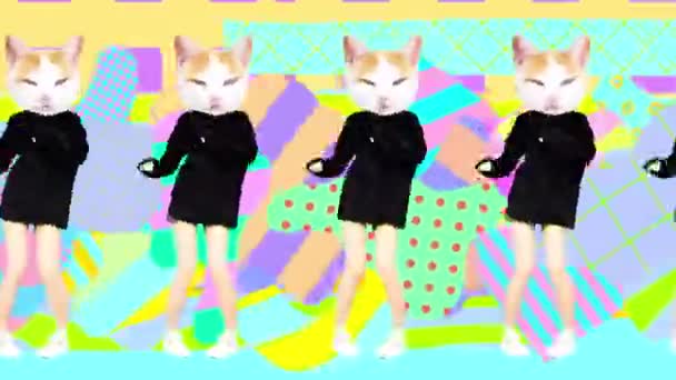 Gif rörelsekonst. Dansa Pretty Kitty på abstrakt bakgrund — Stockvideo