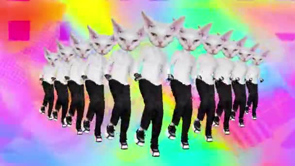 Arte de movimiento Gif. Baile estilo oficina White Kitty sobre fondo abstracto — Vídeos de Stock