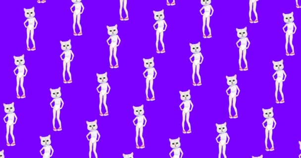 Minimal animation gif art. Pretty dancing Kitty. Motion pattern design — Stock Video