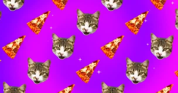 Animação mínima gif art. Cat pizza amante padrão de animação sem costura — Vídeo de Stock