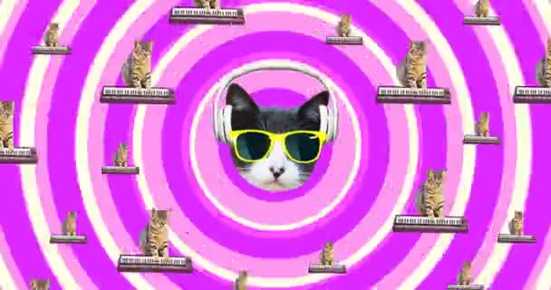 最小限のモーションGIFアート。音楽の猫のギャング。面白いアニメーション｜モダンデザイン — ストック動画