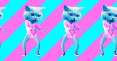 Minimum animasyon tasarımı. Güzel kedicik. Striptiz aşığı titreşimleri. Pop ve dans havası