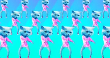 Minimum animasyon tasarımı. Kedi dansı havası. Kedi gücü.