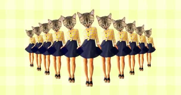 Minimales Animationsdesign. Kitty sport tanzen vibes.Cat power — Stockvideo