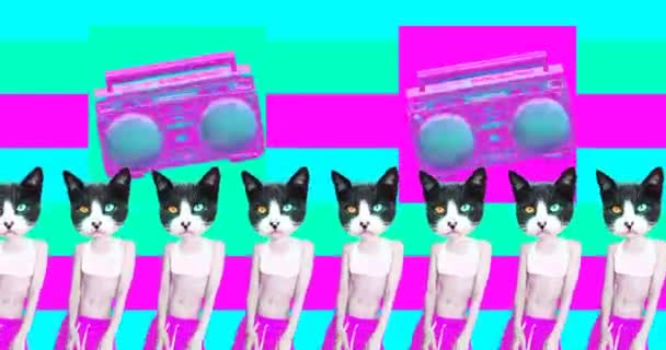 Minimale animatie kunst. Kat stedelijke stijl. Dansfeest minnaar — Stockvideo